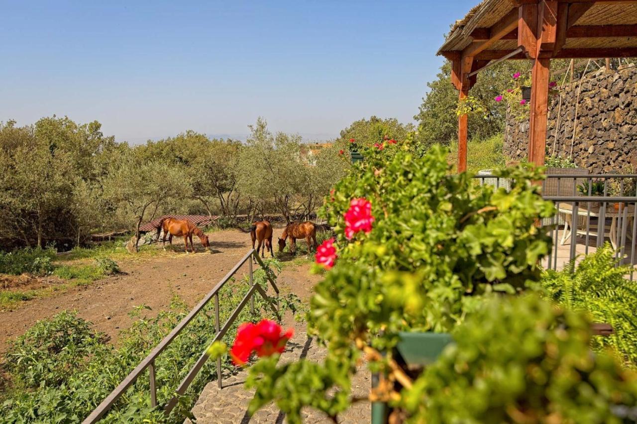 Apartamento Horse House Ragalna Exterior foto